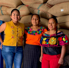 Mexico Mayan Harvest