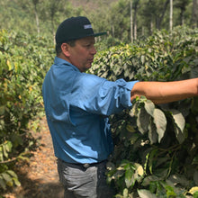 Guatemala Zelaya Espresso