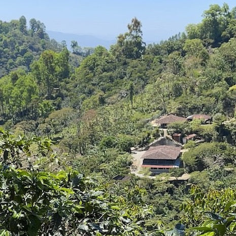 Nicaragua Pradera