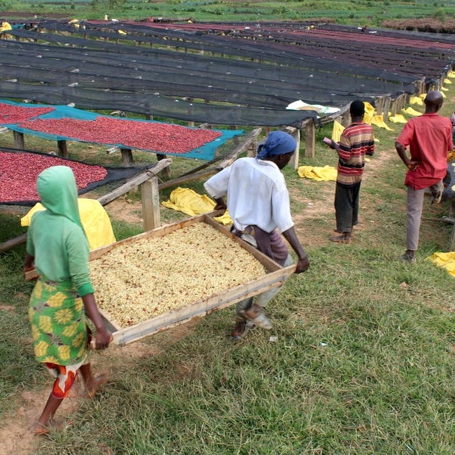 Burundi Busasa