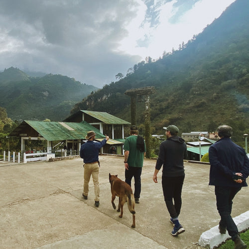 Guatemala El Injerto “Nativo”