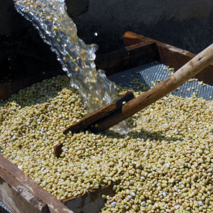 Ethiopia Arbegona