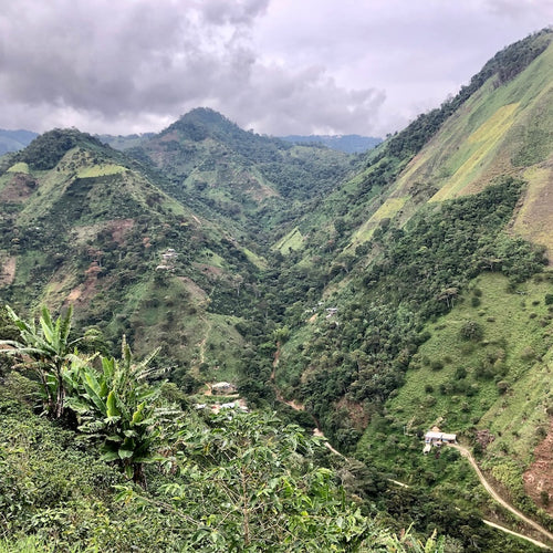 Colombia Loma Verde